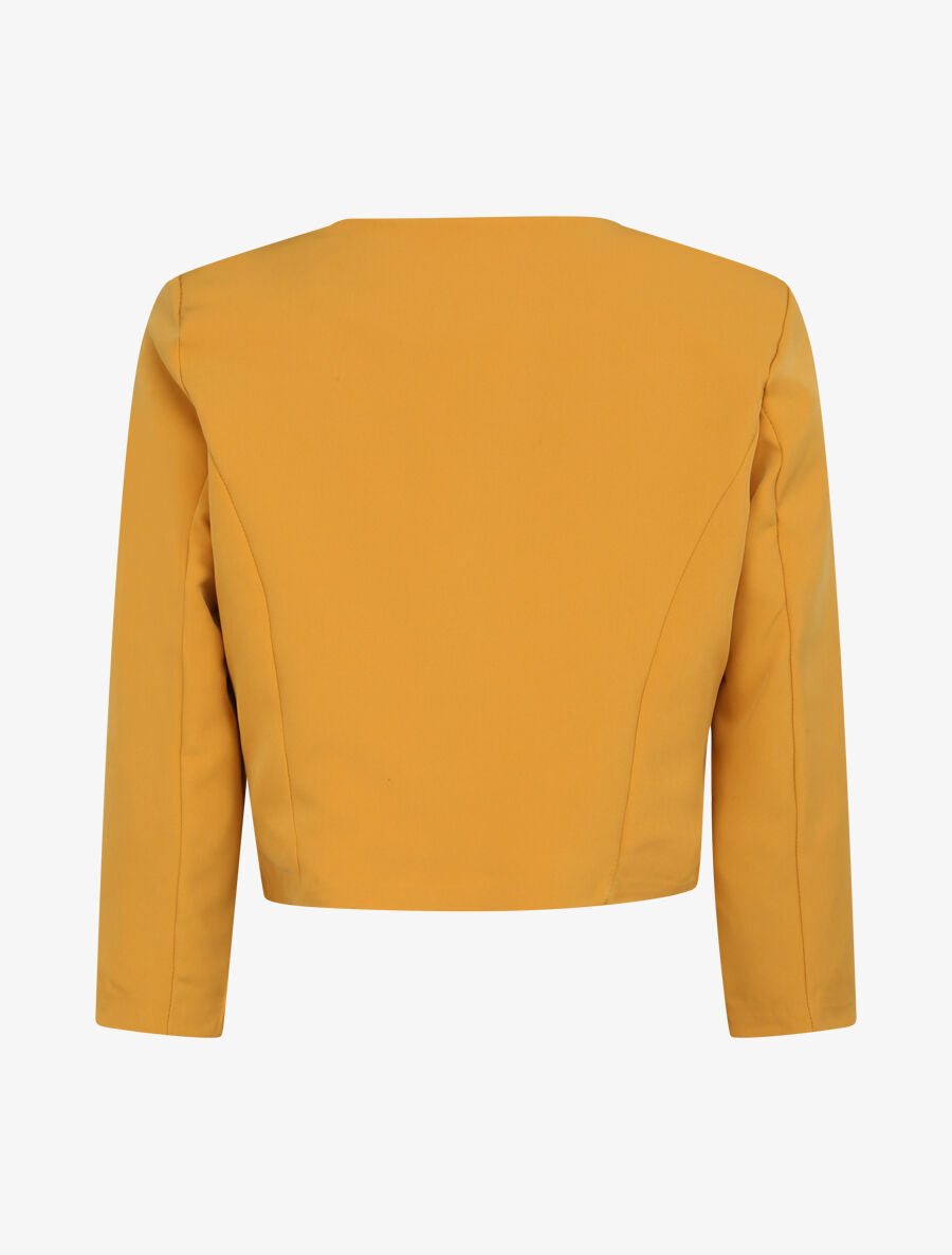 Veste droite uni manches 3/4 - Moutarde - 2